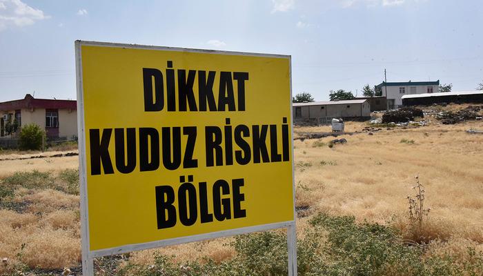 Şanlıurfa'da bir kuduz vakası daha!  Mahalle karantinaya alındı