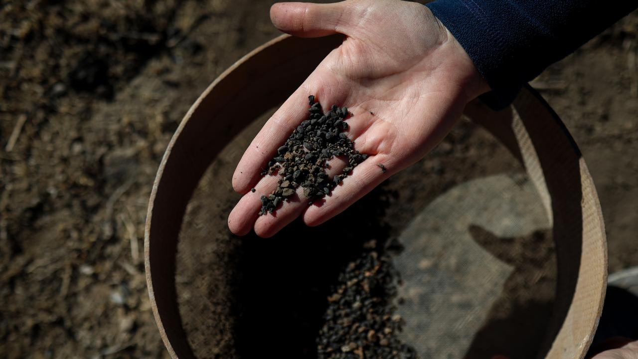 Van'da 5 bin yıllık arpa taneleri bulundu