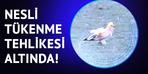 Kars'ta böyle görüldü