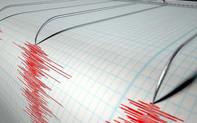 İstanbul Adalar'da Yoğun Mikro Deprem Hareketliliği