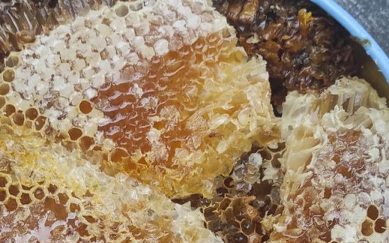 Doğal Balın Fiyatı Rekor Kırdı: 15 Bin Lira Seviyesinde